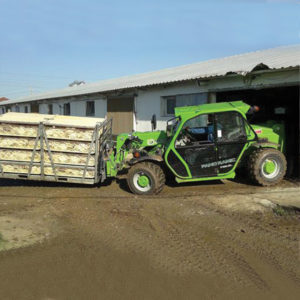 P-25-6-L-compacts-telehandler-merlo